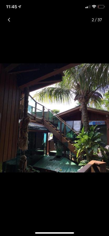 Homestay Aloha Florianopolis